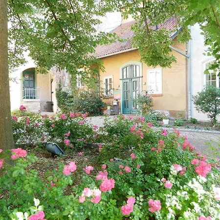 Schloss Goldacker - Schloss Der Gesundheit * Weberstedt