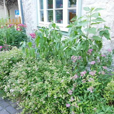 Schloss Goldacker - Schloss Der Gesundheit Guest house