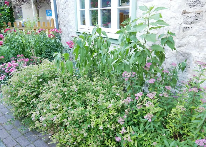 Schloss Goldacker - Schloss Der Gesundheit Gasthuis