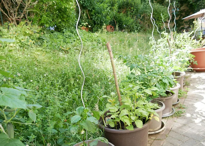Schloss Goldacker - Schloss Der Gesundheit Weberstedt